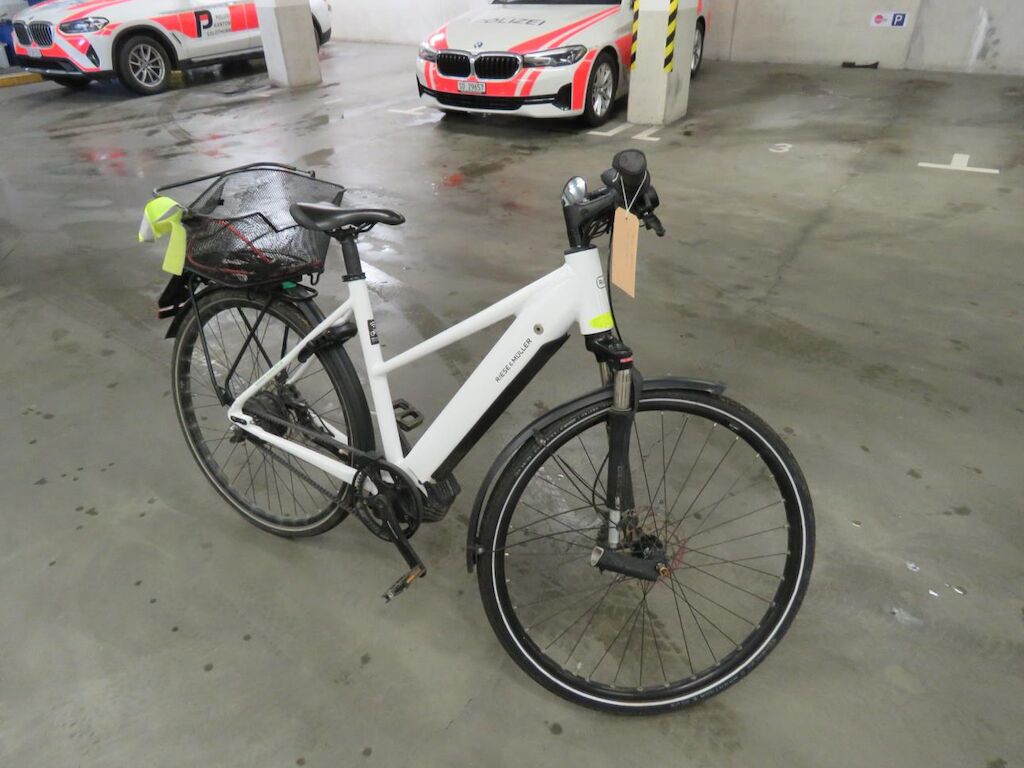 Riese & Müller Roadster Mixte vario HS ID 460081