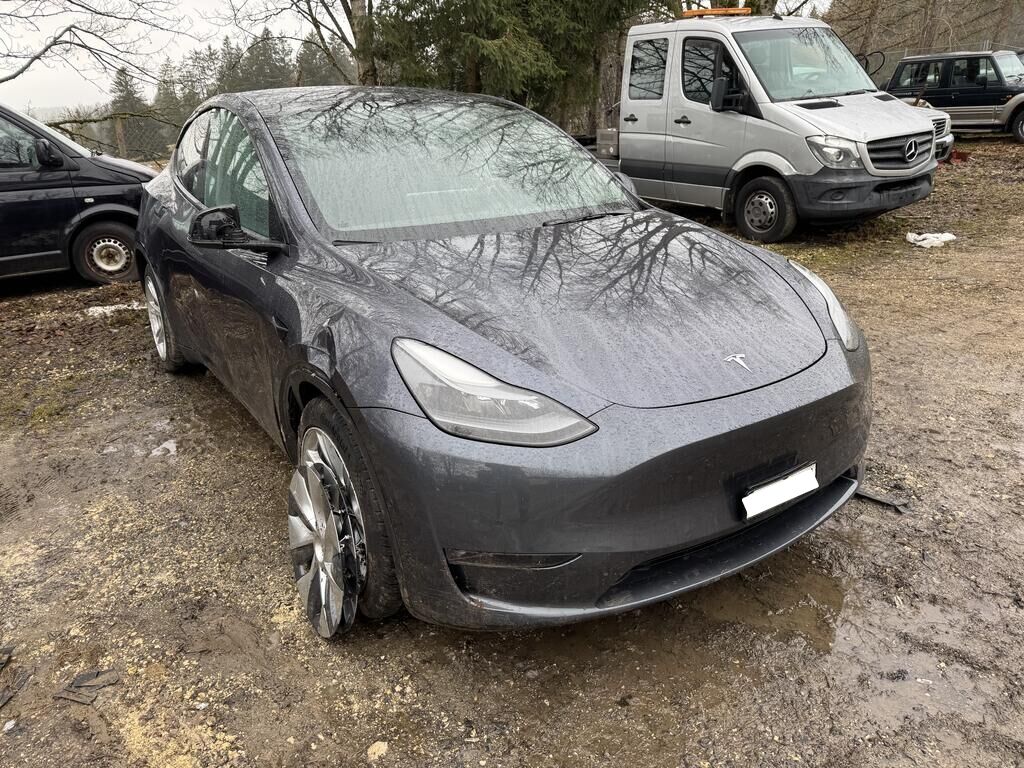 TESLA Model Y Long Range ID 460124