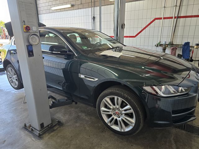 Jaguar XE ID 475348