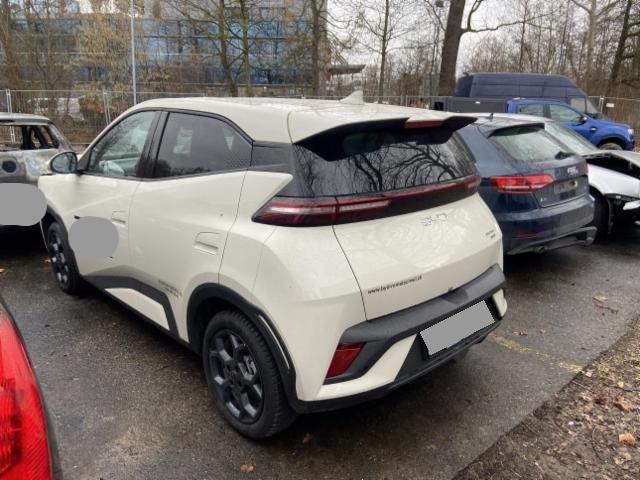 BYD Dolphin Surf (2992 km)