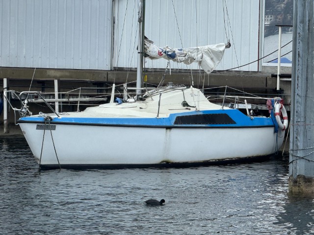 Mölnlycke Marine Maxi (1000 h)