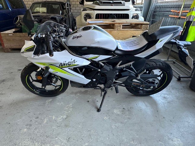 Kawasaki NINJA (3000 km)