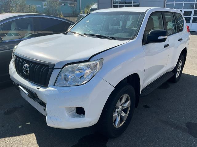 Toyota Land Cruiser (170652 km)