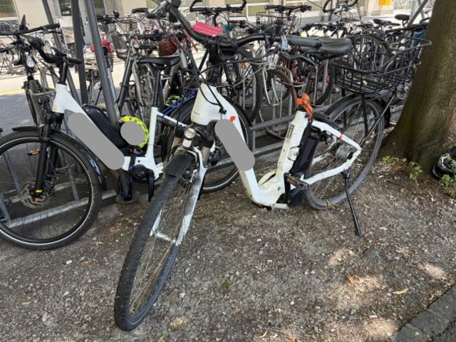 Flyer Gotour 5 (CH 60**)